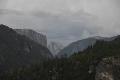 DSC_4502 (Large).JPG